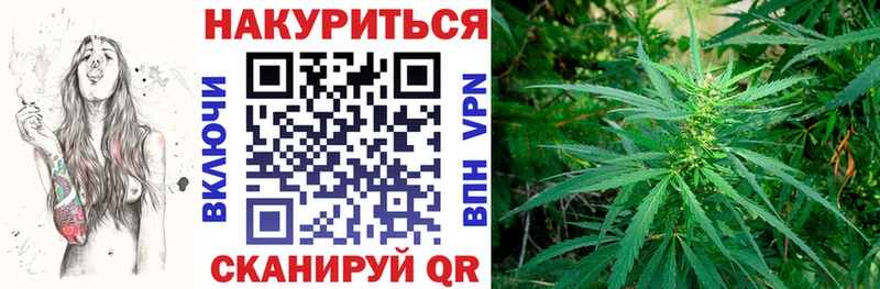 Купить где  Болотное  МАРИХУАНА OG Kush 